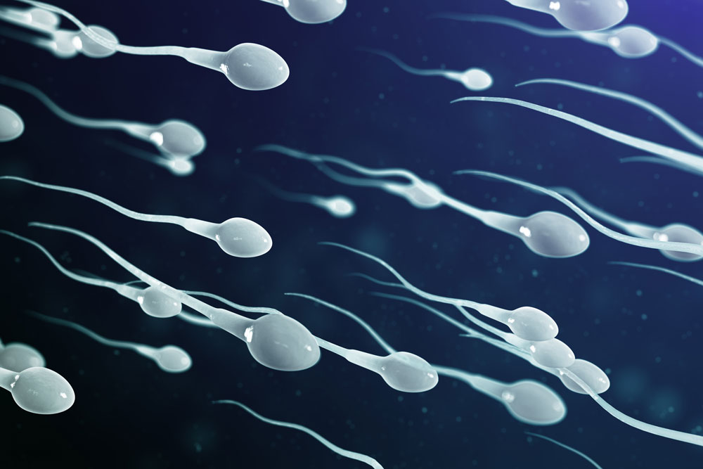 Why is each sperm unique Why is each sperm unique
