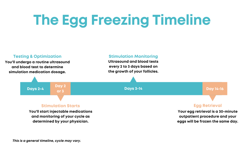 Egg Freezing - Fertility Preservation - Egg Freezing in South Texas