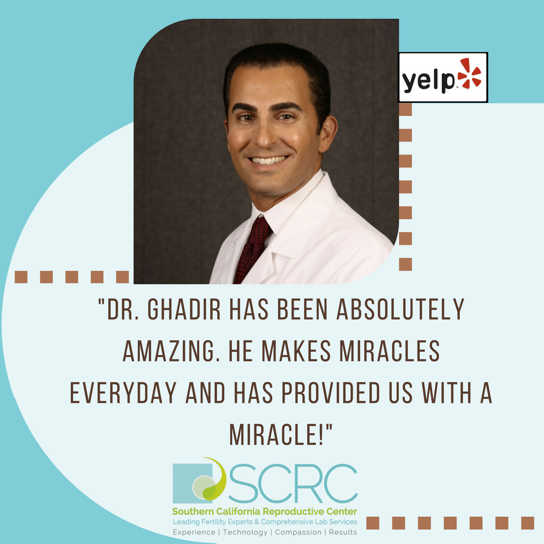 Dr. Ghadir yelp